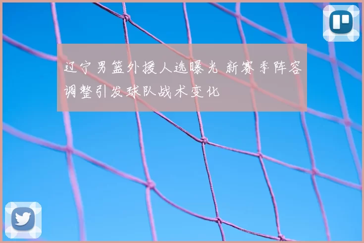 辽宁男篮外援人选曝光 新赛季阵容调整引发球队战术变化