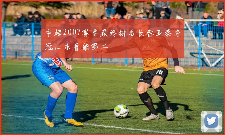 中超2007赛季最终排名长春亚泰夺冠山东鲁能第二