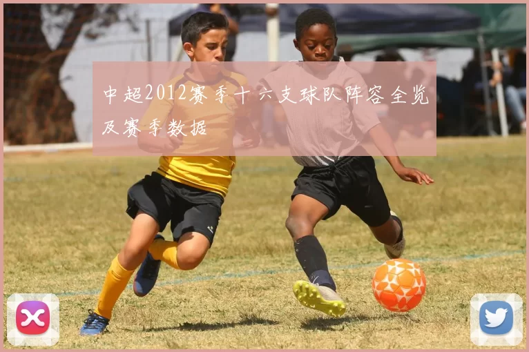 中超2012赛季十六支球队阵容全览及赛季数据